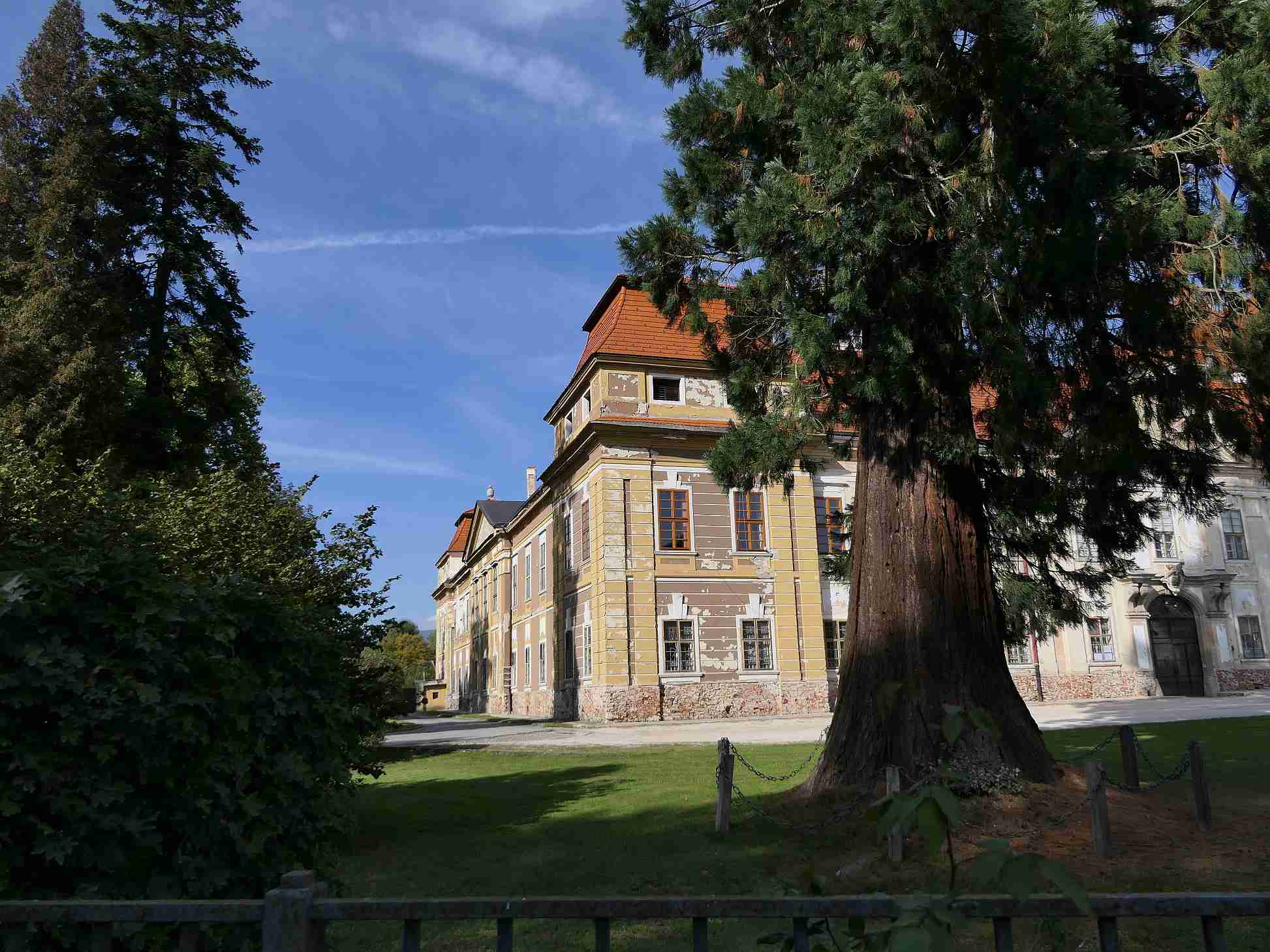 P1000596