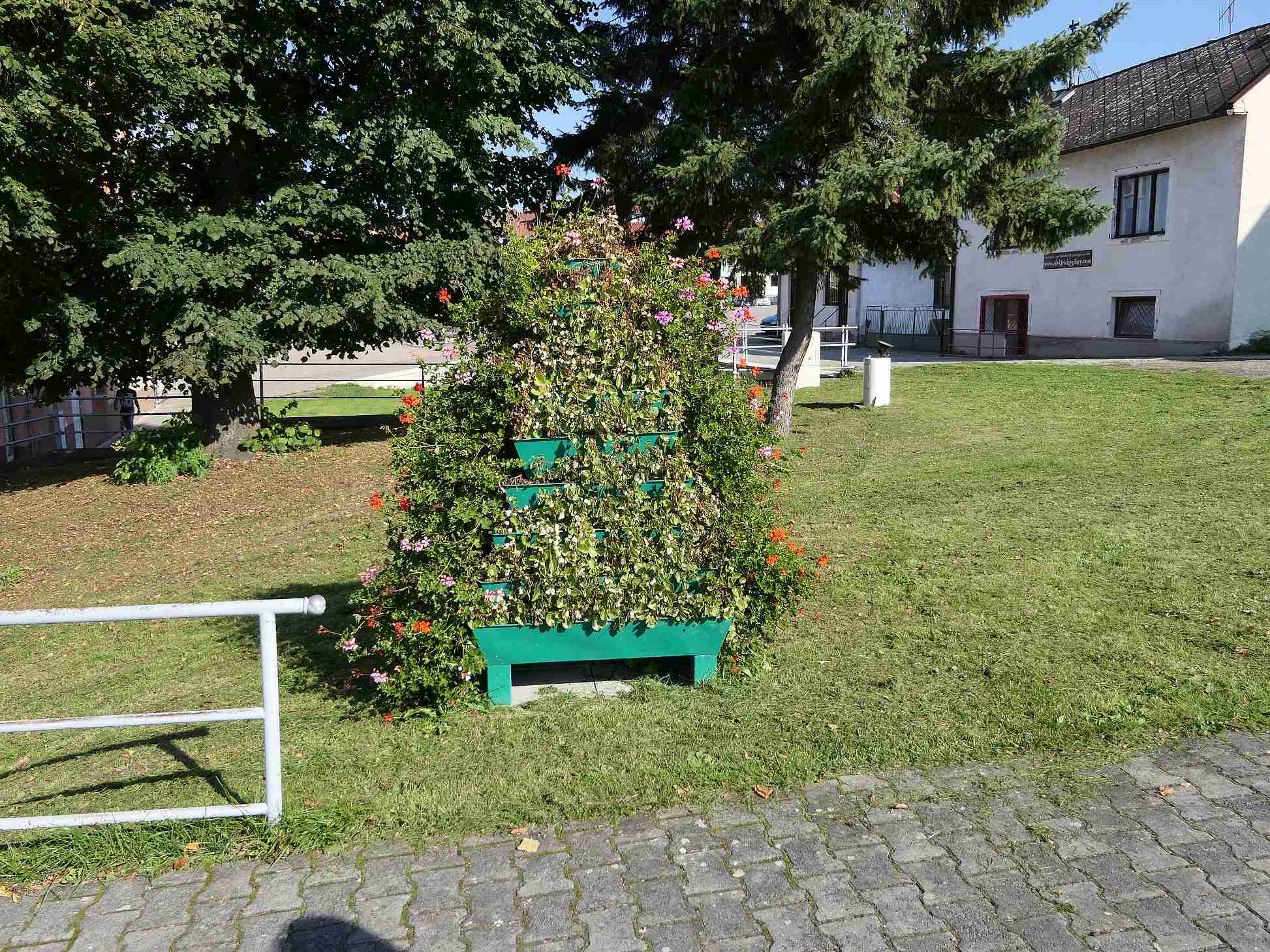 P1000385