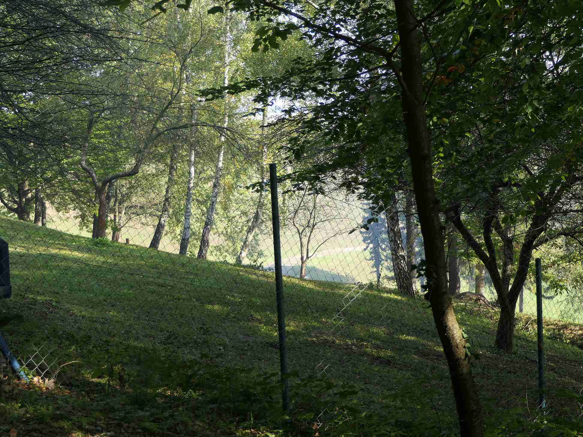 P1000367