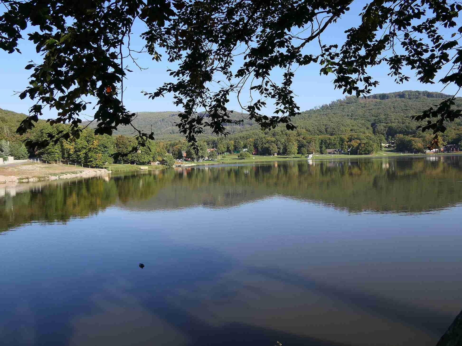 P1000633