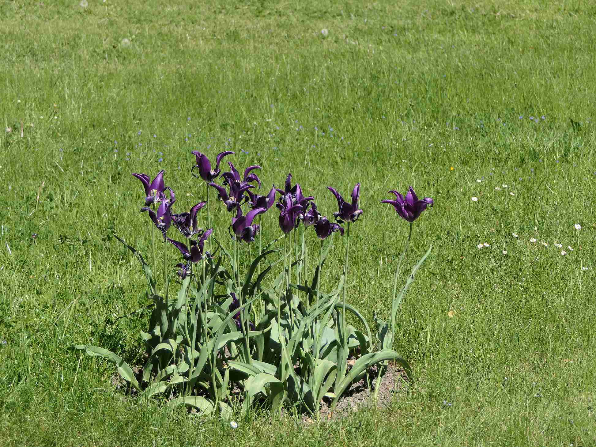 P1010050