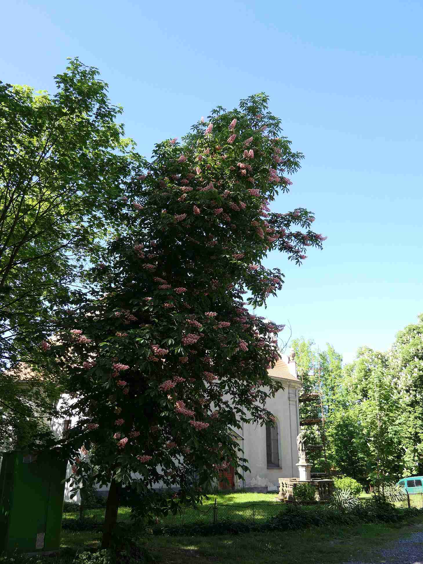 P1000981