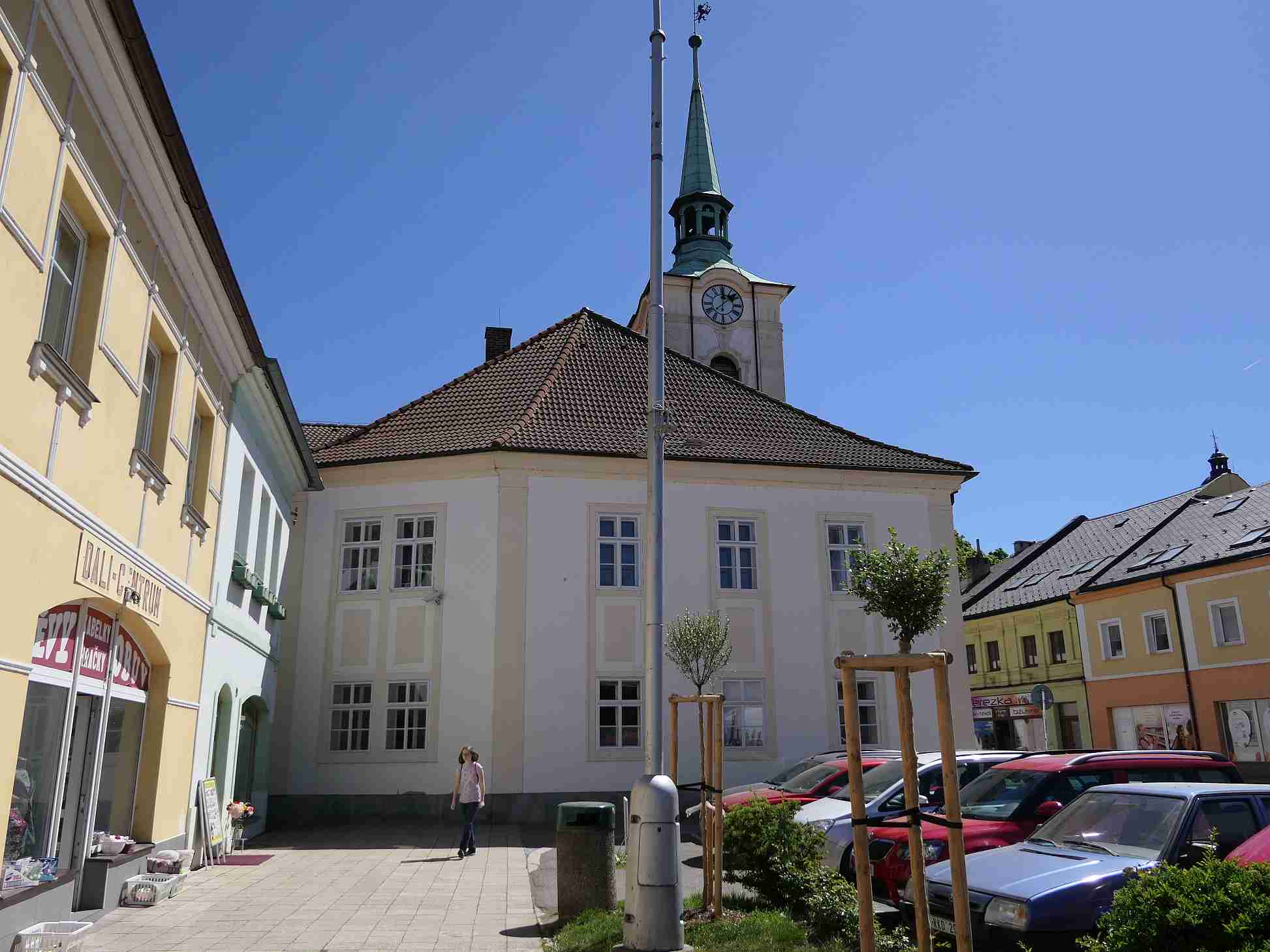 P1010041