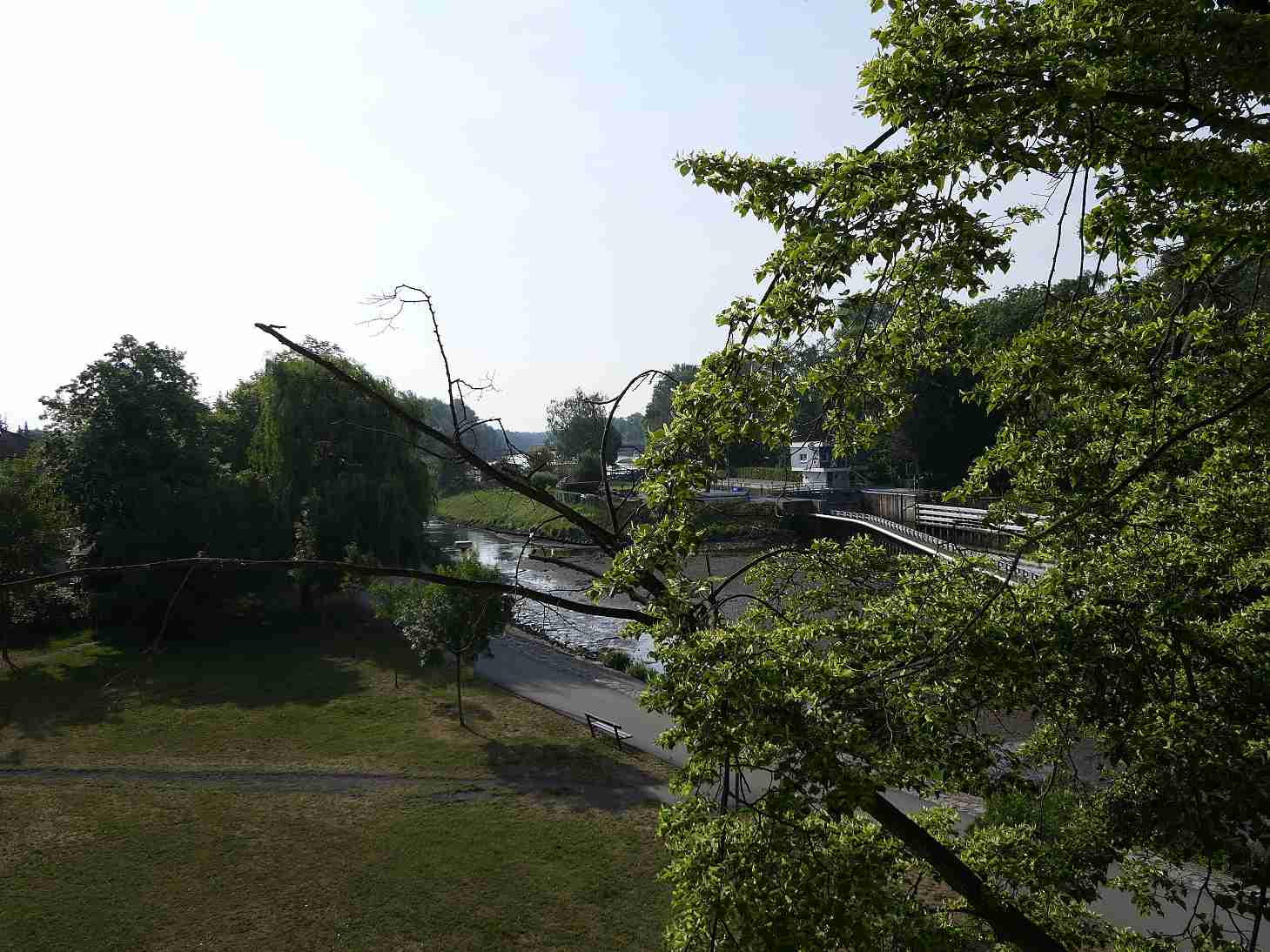 P1010098