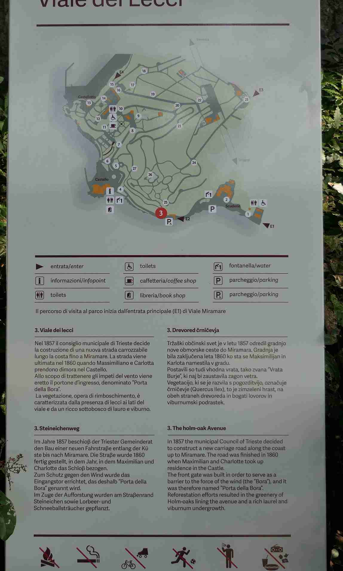 P1010226