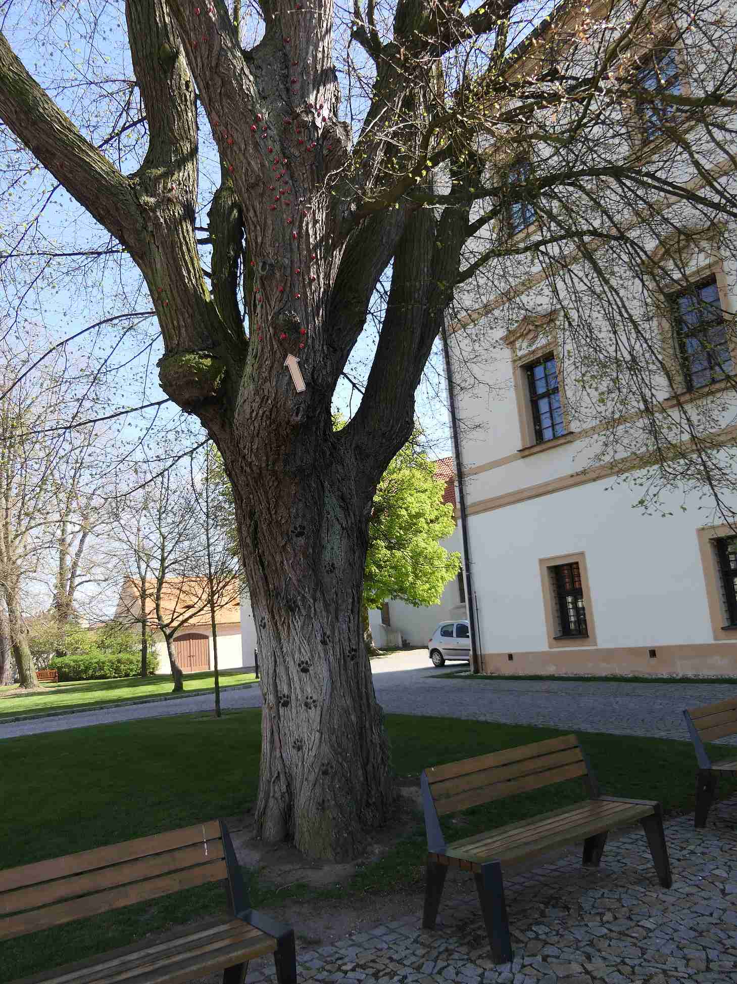 P1010578
