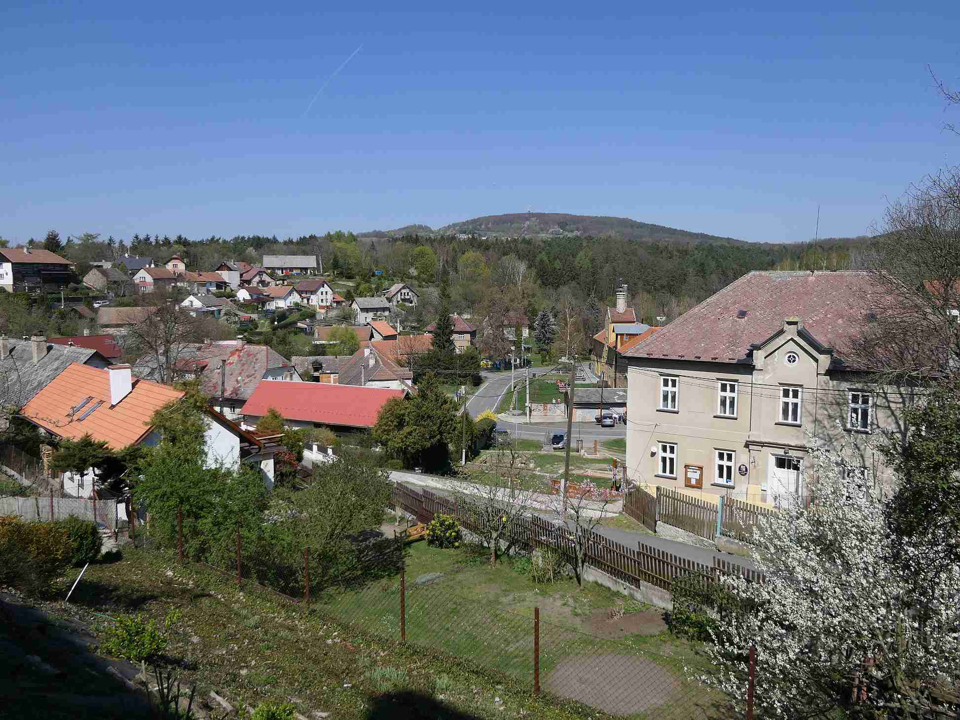 P1010664