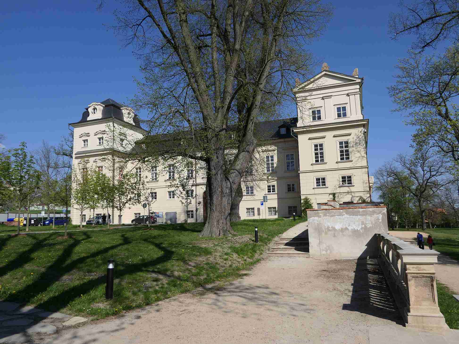 P1010603