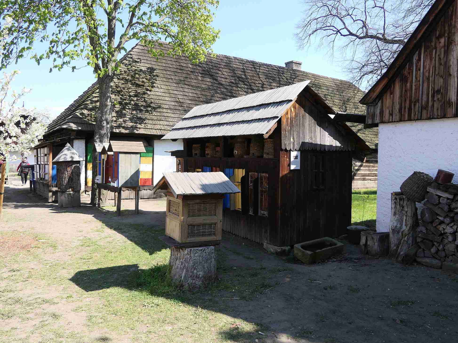 P1010503