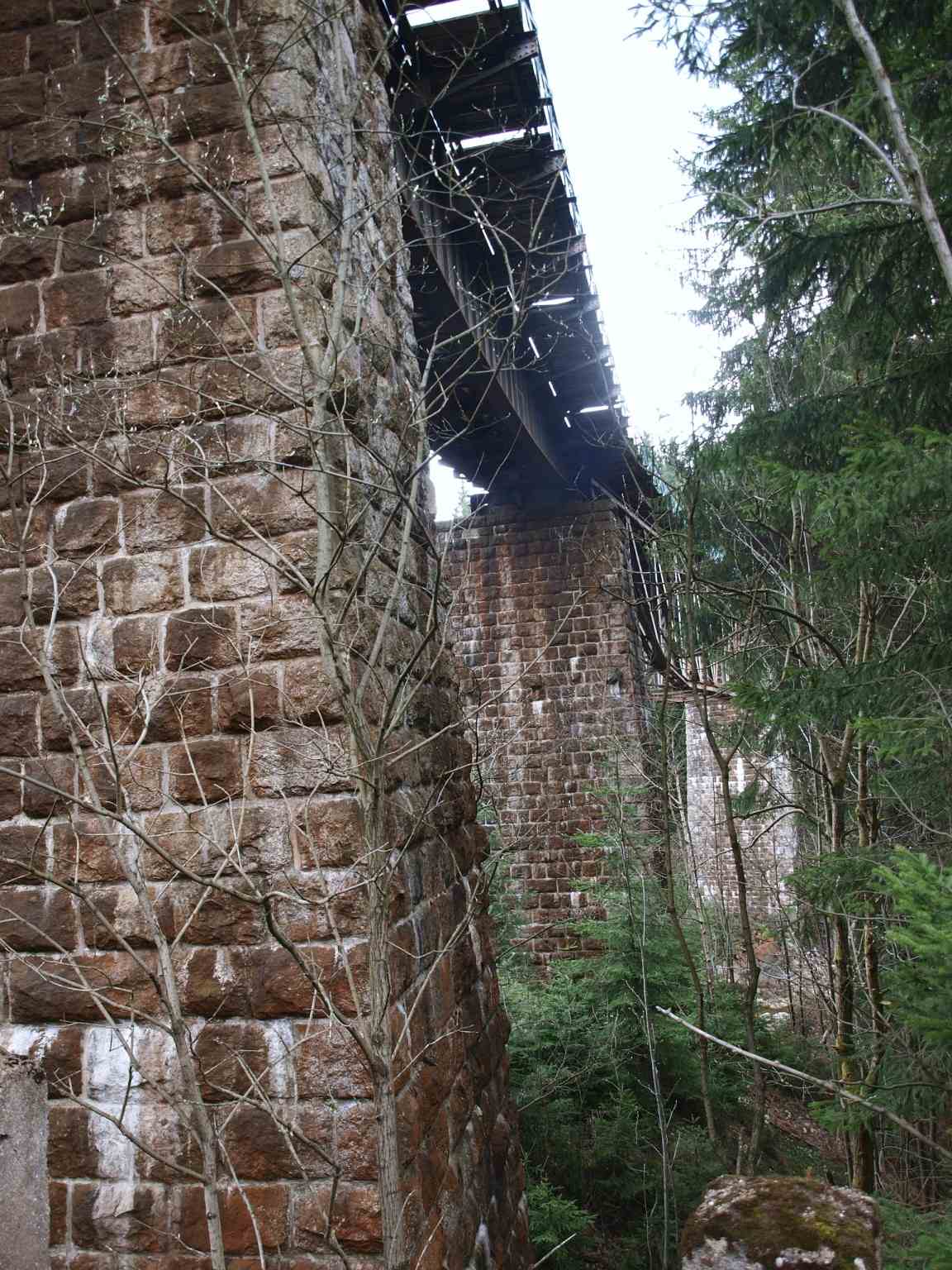 P5059964