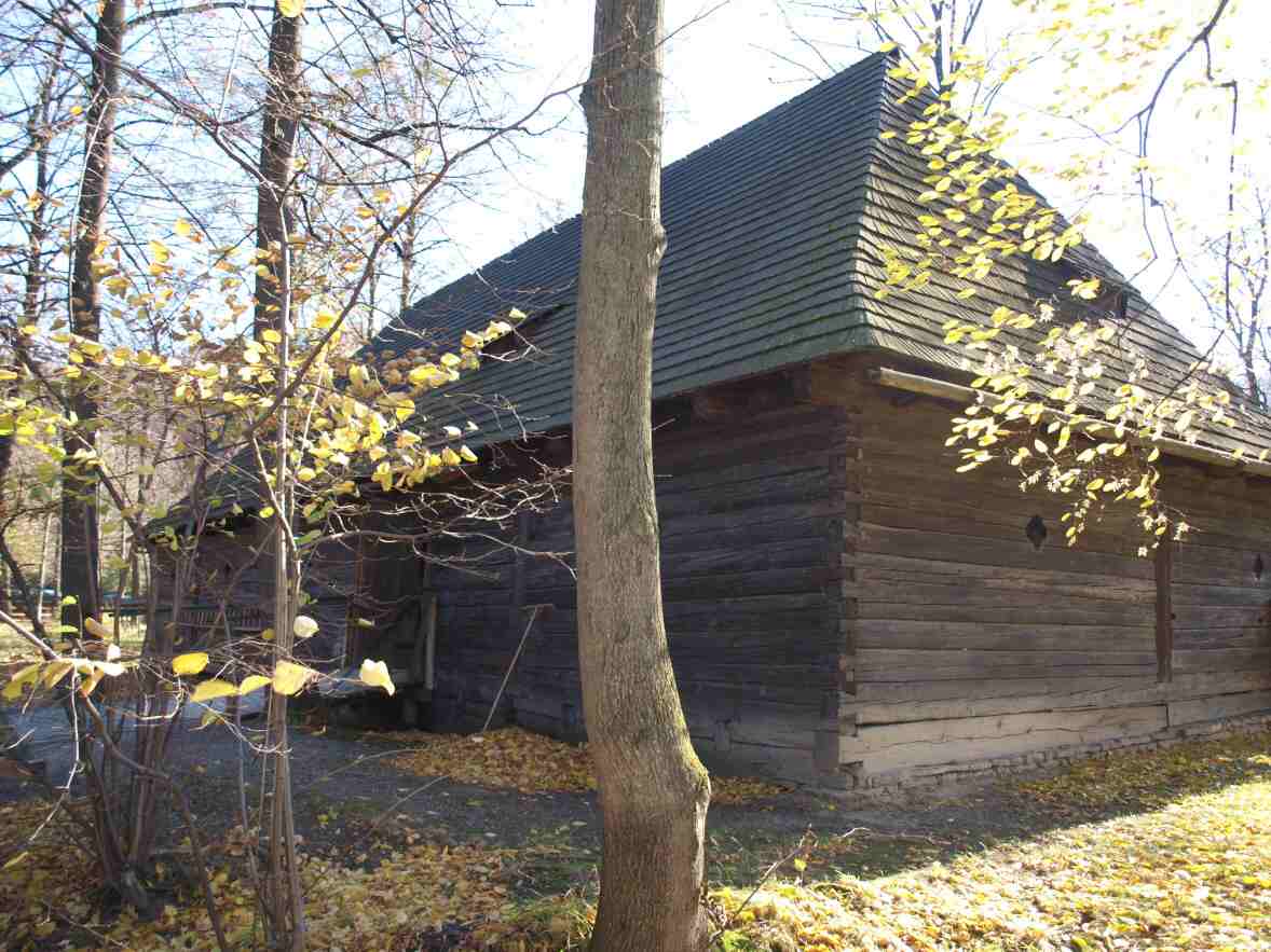 P1013807