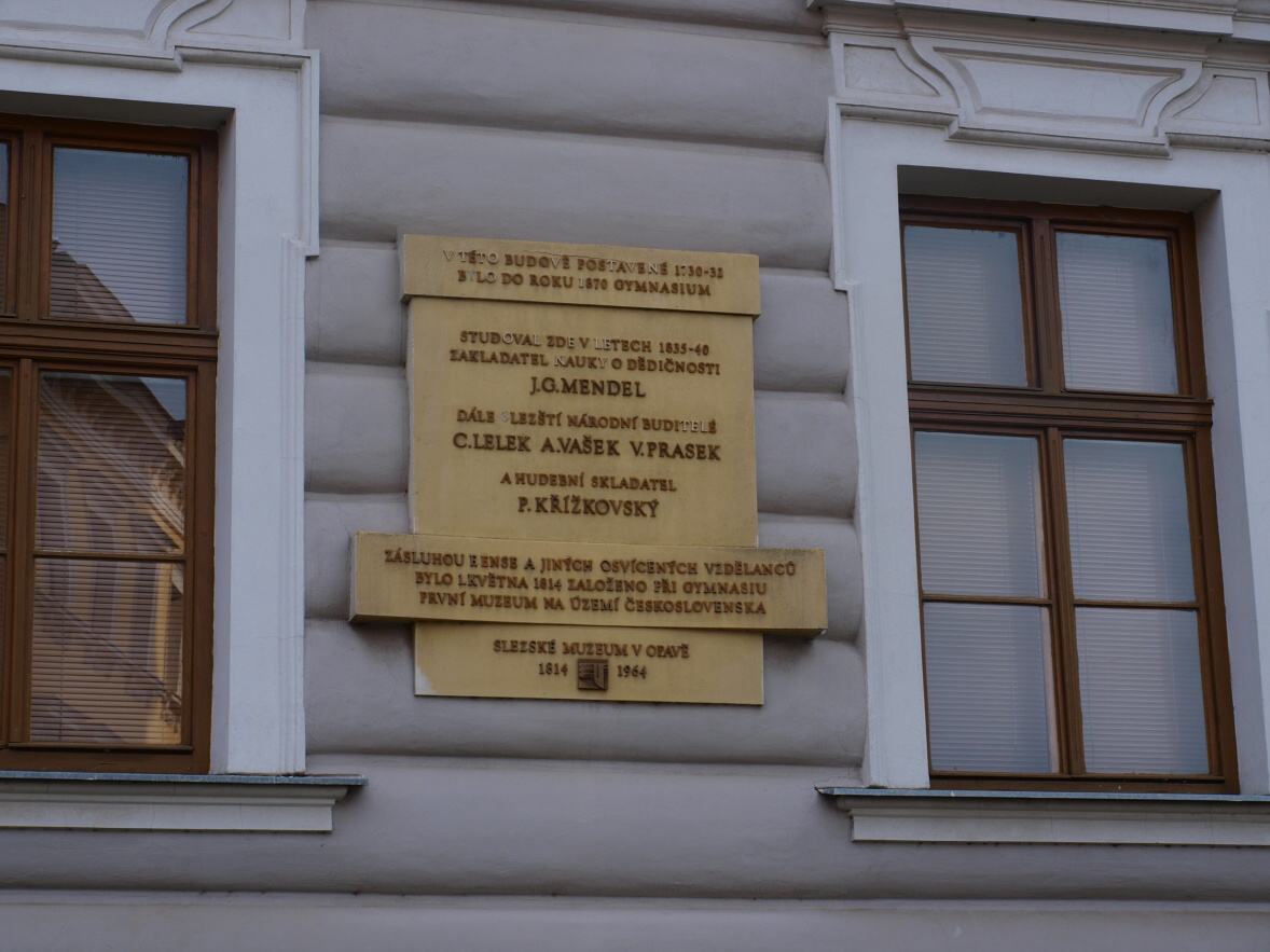 P1013913
