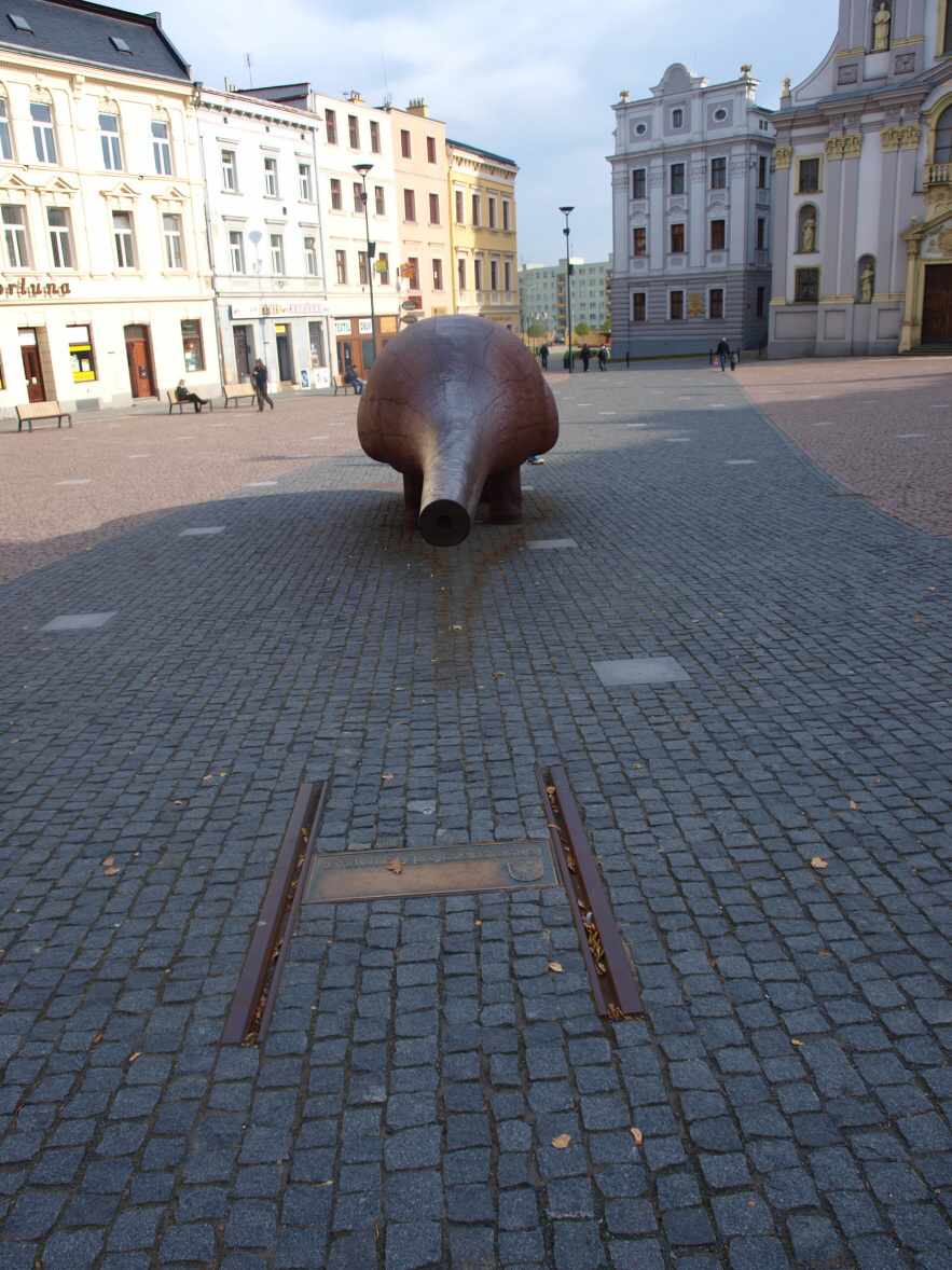 P1013916