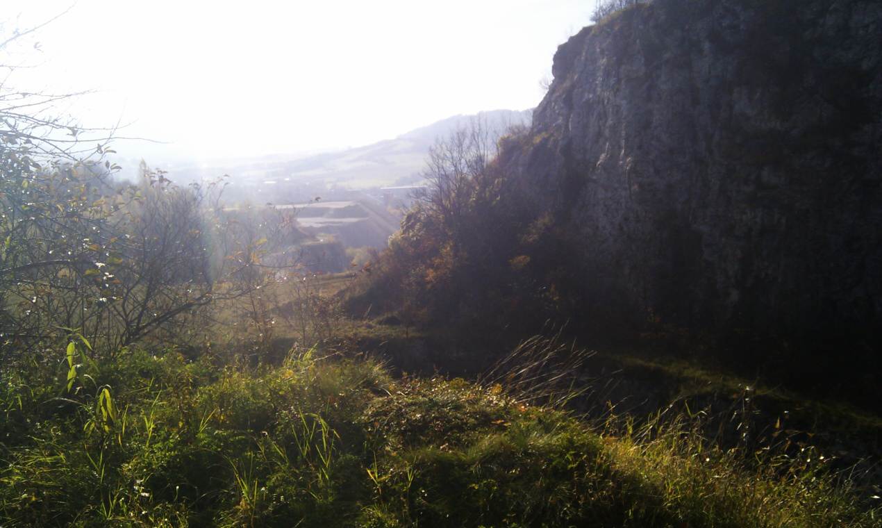 IMAG0029