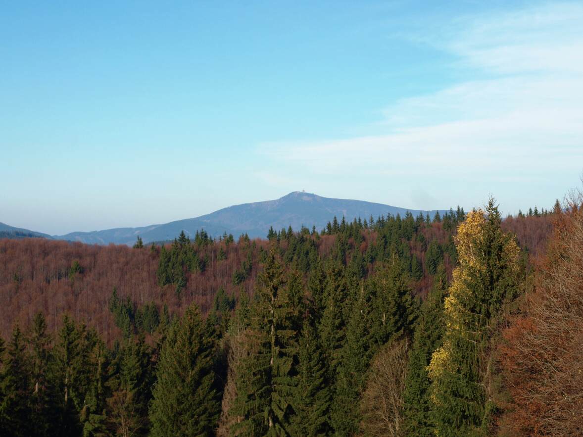 P1013744