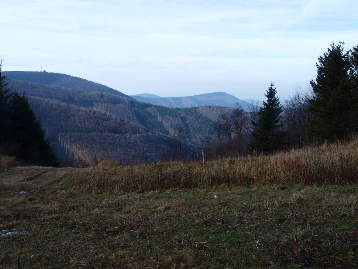 P1013829