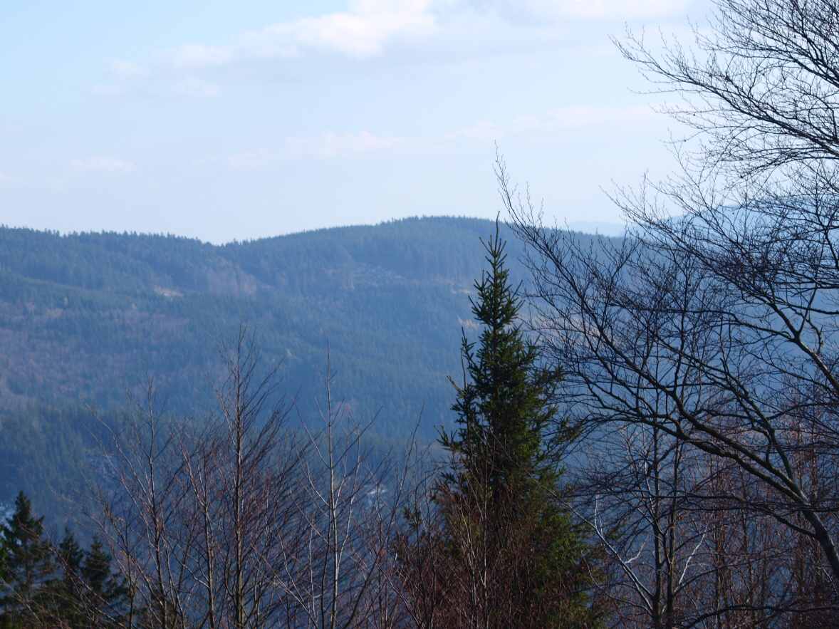 P1013842