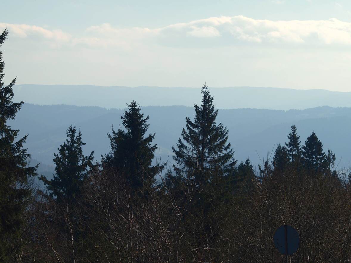 P1013847