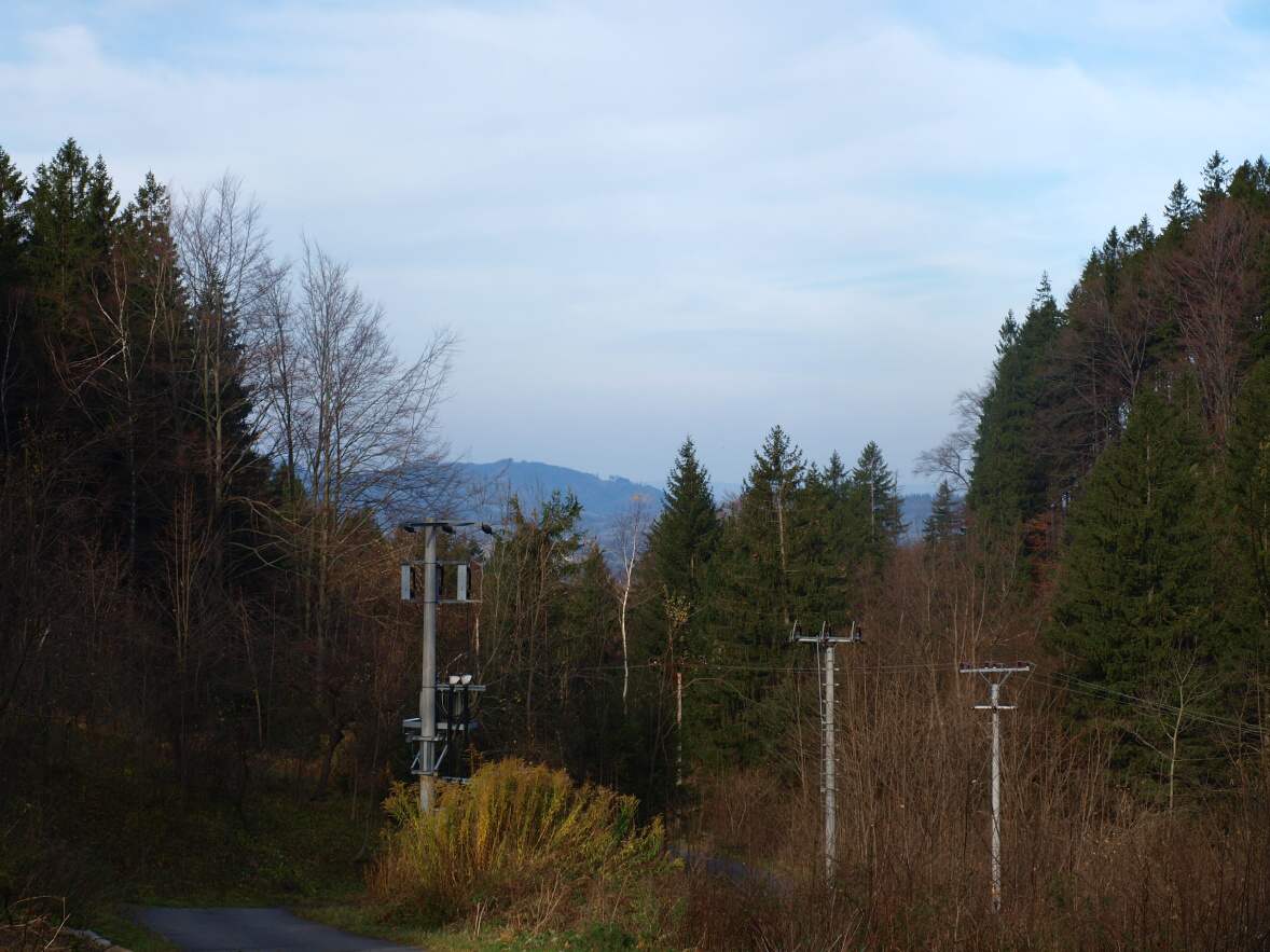 P1013885