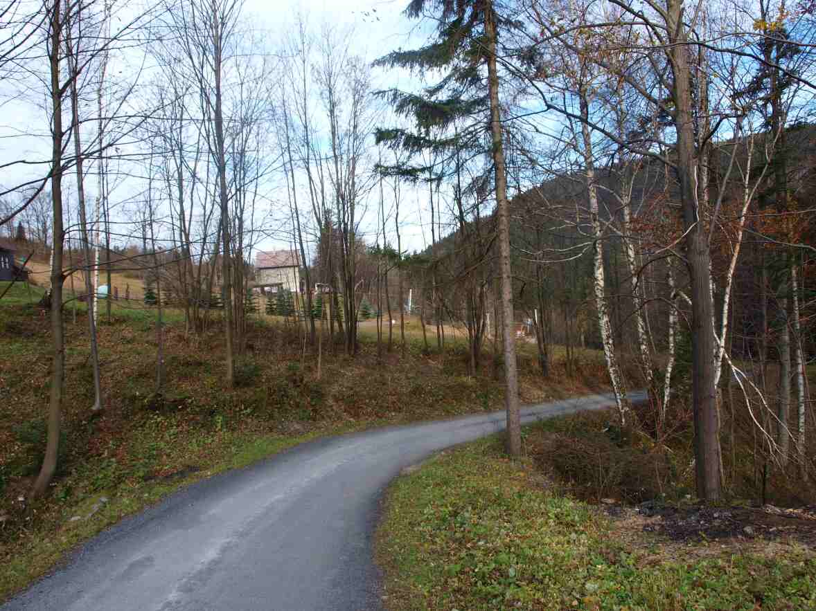 P1013901